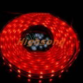 Flexible LED Strips  5050SMD LED strips Single colour
