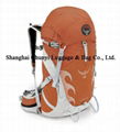 Mountaineering Bag (1)