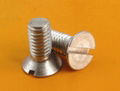 flat head screw 1