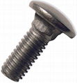 carriage bolts