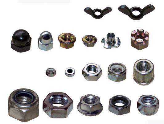 Hex Nut 