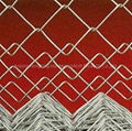 Chain Link Fence 1