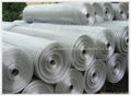 Welded Wire Mesh 4