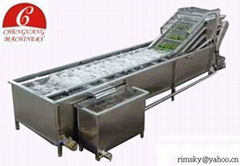  Vegetable Washer