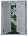 UPVC Shutter window