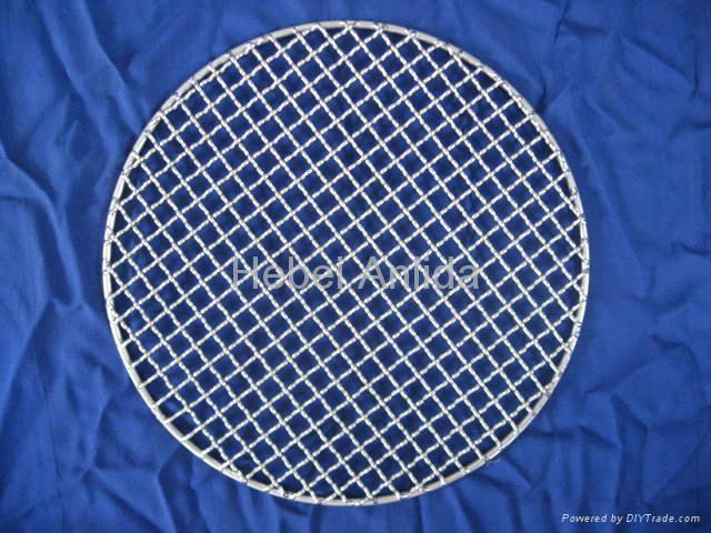 Barbecue Grill  Netting 3