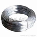 Galvanized Wire