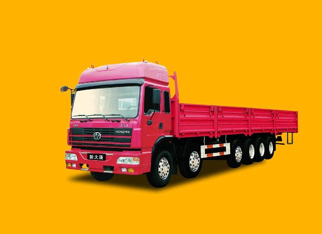 Hong Yan Cargo Truck  4