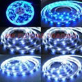 TAPE LED STRIP LIGHTS