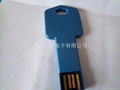 OEM 8GB usb flash memory