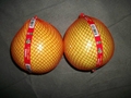 fresh pomelo 3