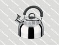 Stainless steel kettle 1