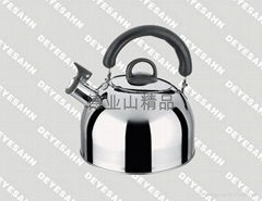 Stainless steel kettle