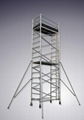 Double width scaffolding with vertical ladder