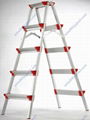 step ladder 1