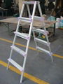 step ladder 3