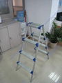 step ladder 4