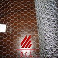 hot sale electric galvanized hexagonal chicken wire netting 1