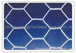 hot sale electric galvanized hexagonal chicken wire netting 5