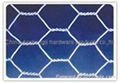 hot sale electric galvanized hexagonal chicken wire netting 5