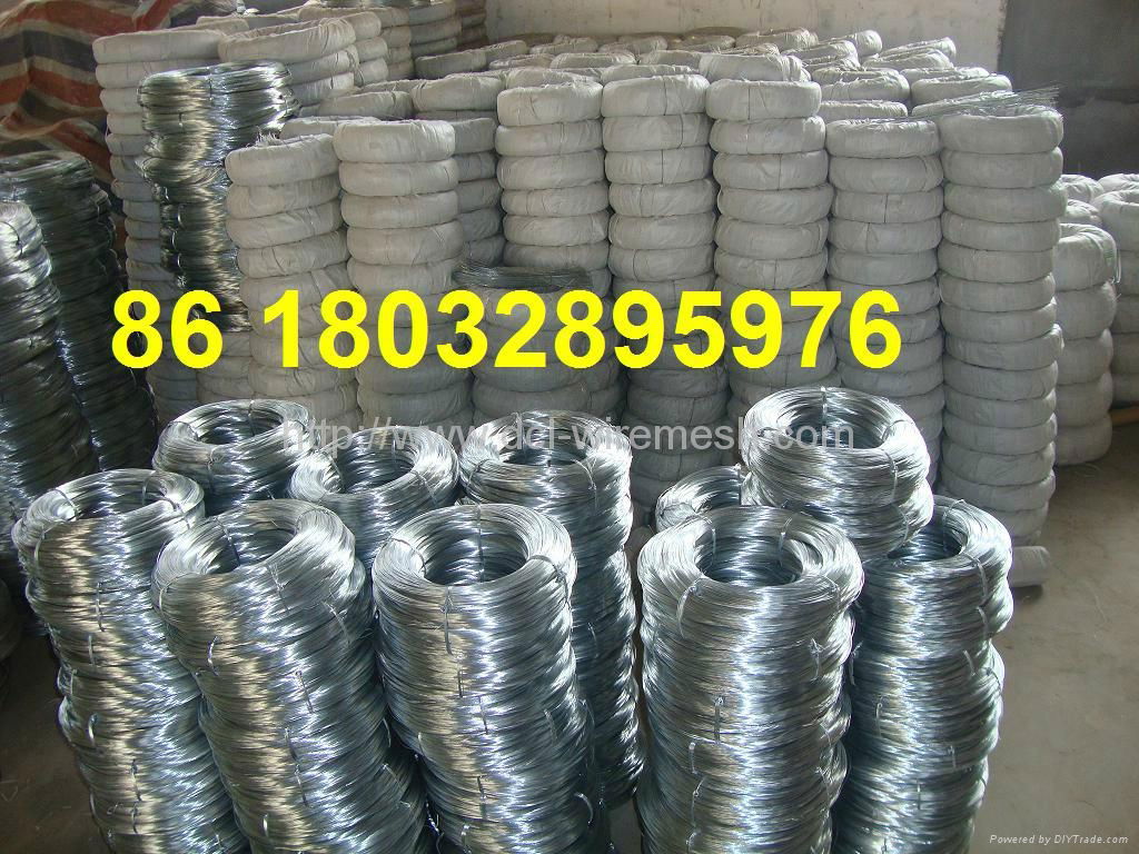 22 gauge electro galvanized binding wire 4