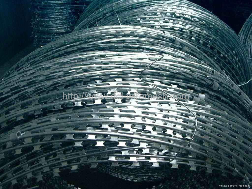 hot sale razor barbed wire 3