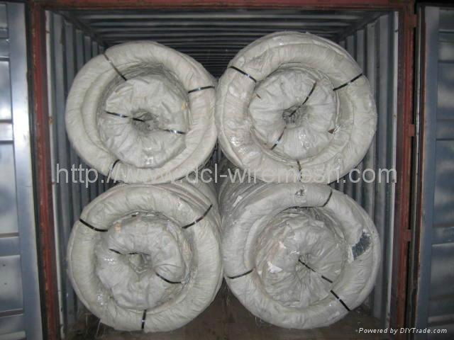 hot sale razor barbed wire 5