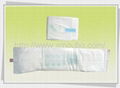 Magnetic Anion Sanitary Napkins 4