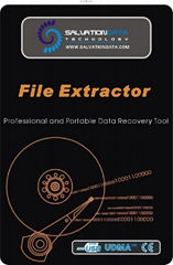 File extractor for data recovery