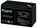 sealed lead acid battery