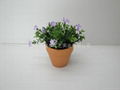 Artificial Flower（Potting）