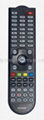 OEM remote control