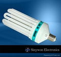 8U Energy Saving Lamp