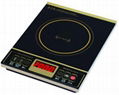 induction cooker 1