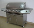 Gas Barbecue Grill