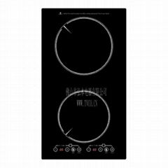 Built-in Induction cooker