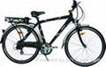 CE electric bicycle 1