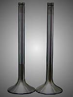 engine valves 