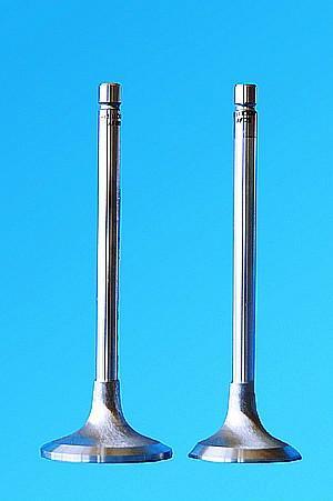 engine valves  2