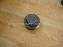 Malleable iron pipe fitting-PLUGS-PLAIN