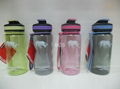 BPA Free bottle  4