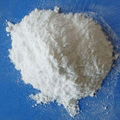 Dicalcium phosphate(DCP) 1