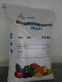 Mono Ammonium Phosphate (MAP) 1