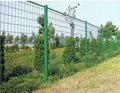 wire mesh fence 1