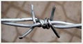 barbed wire series 2