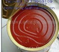 tomato paste in tinplate 1