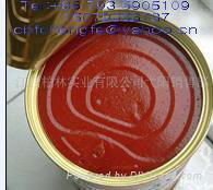 tomato paste in tinplate