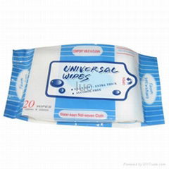 Antibacterial wet wipes