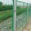 sell Framed Fencing mesh 