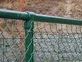 Chain link fence  4
